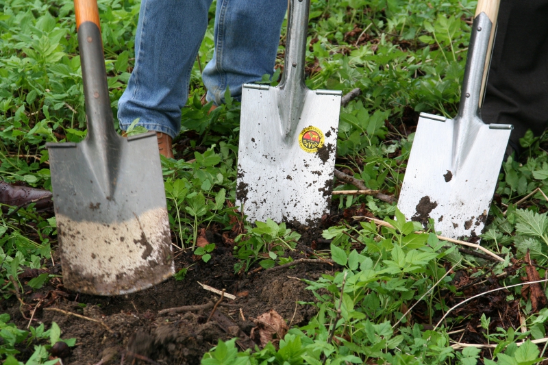 pepiniere-FLASSANS SUR ISSOLE-min_work-lawn-flower-tool-green-backyard-1103633-pxhere.com